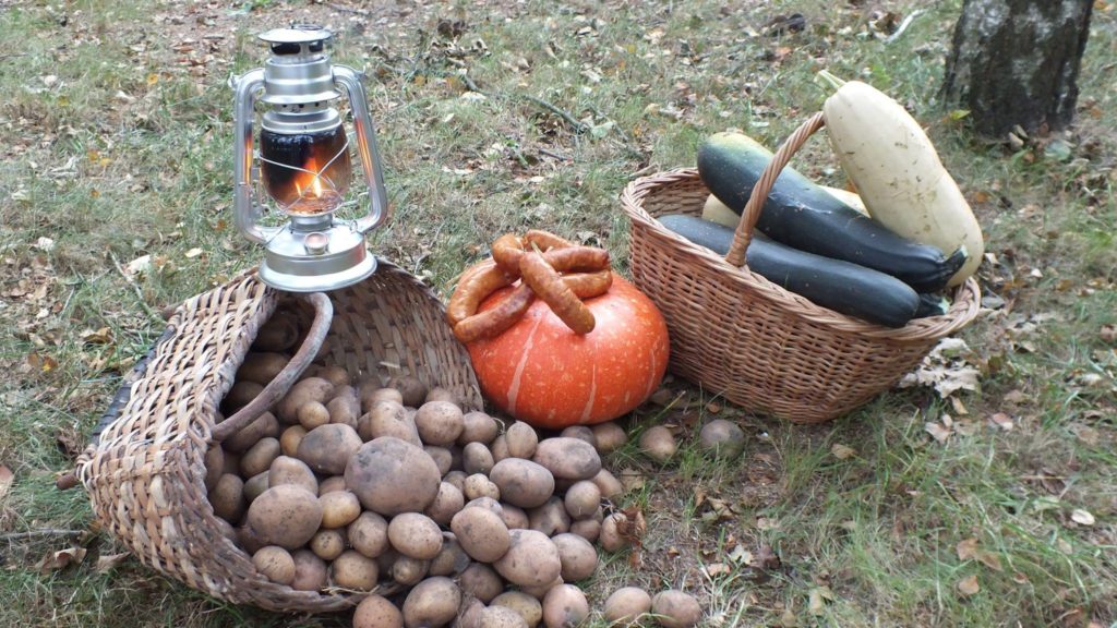 14444652_310911405952373_3553263730947899784_o