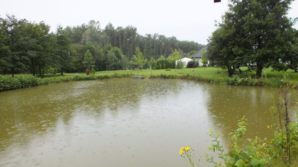 13913681_286518635058317_1379964657195972855_o