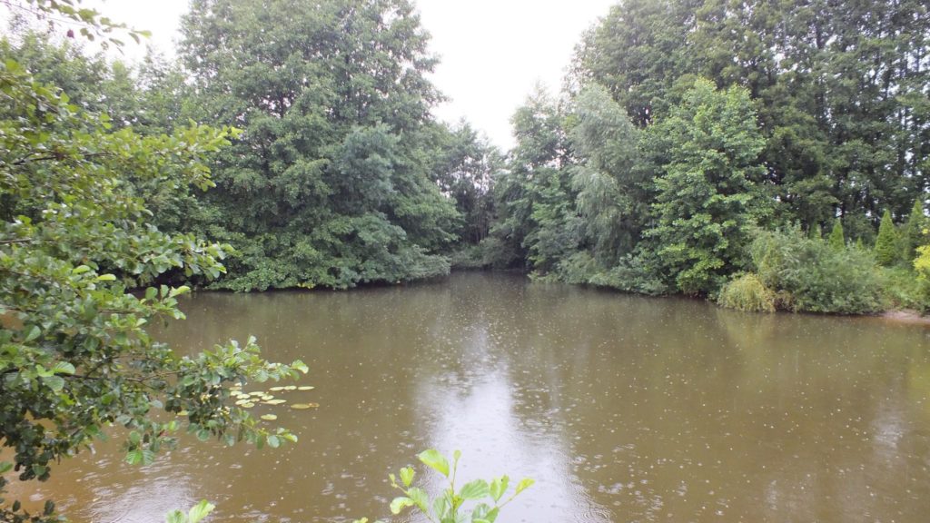 13975276_286518725058308_675292157319076721_o