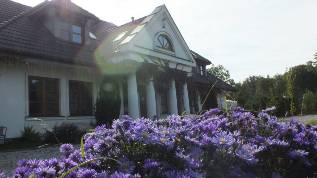 14542279_317962475247266_1069431769815427629_o