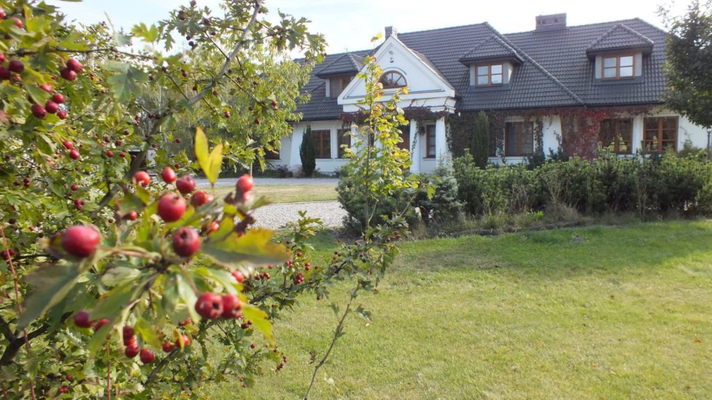 14612476_317962625247251_478426595251696288_o