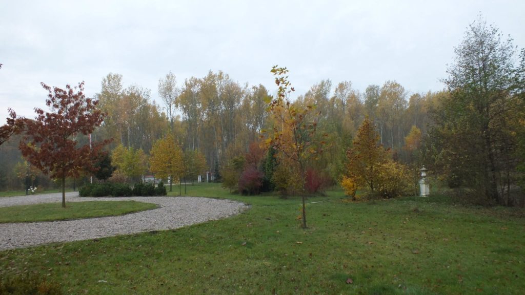 14976472_340257306351116_175721312644540868_o