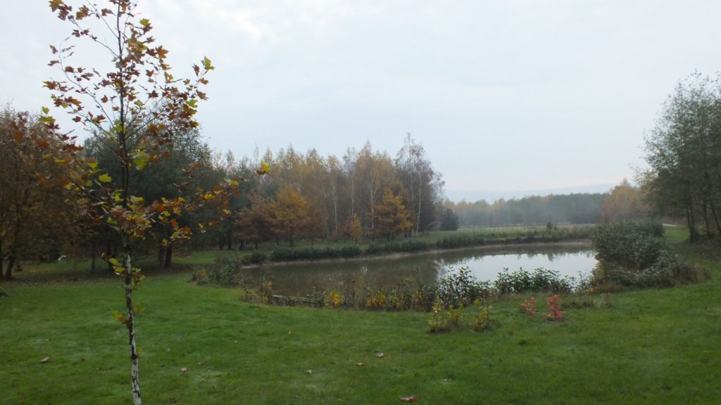 14991047_340257156351131_5237661860352393907_o