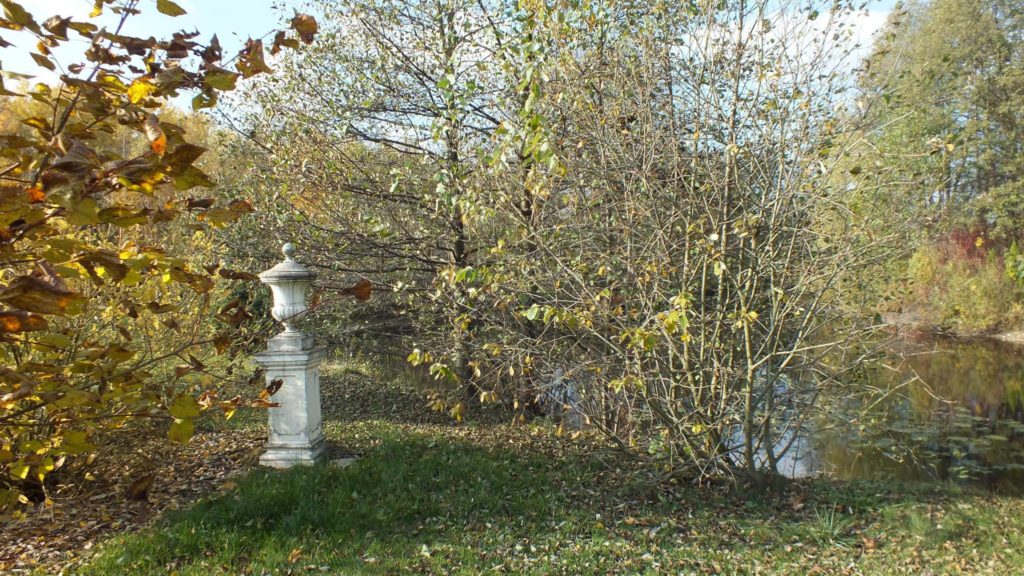 15016281_340257056351141_2003114804215056410_o