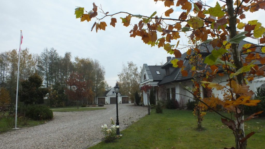 15025125_340257216351125_9047912343944754486_o