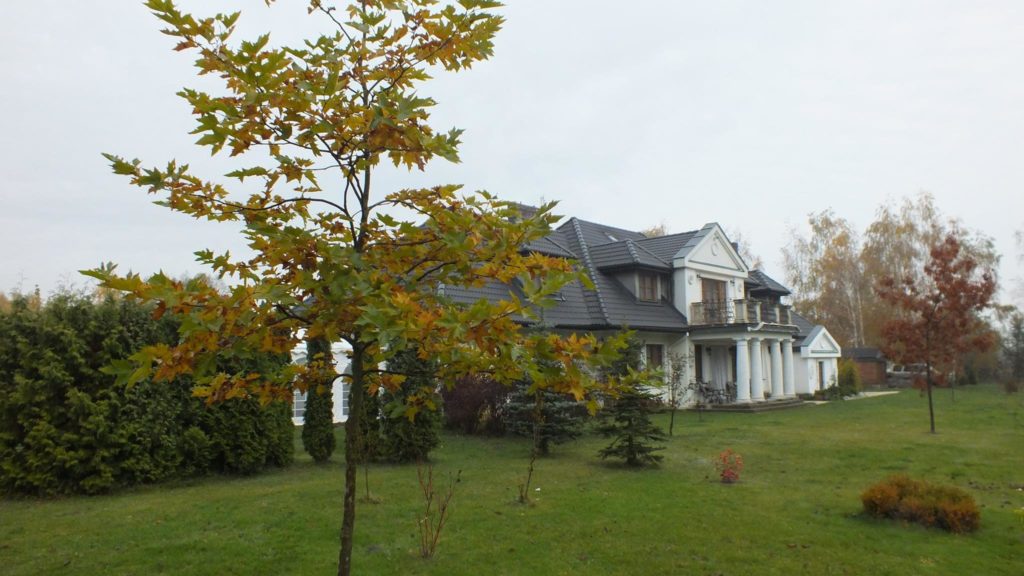 15025341_340257179684462_3645705016204891061_o