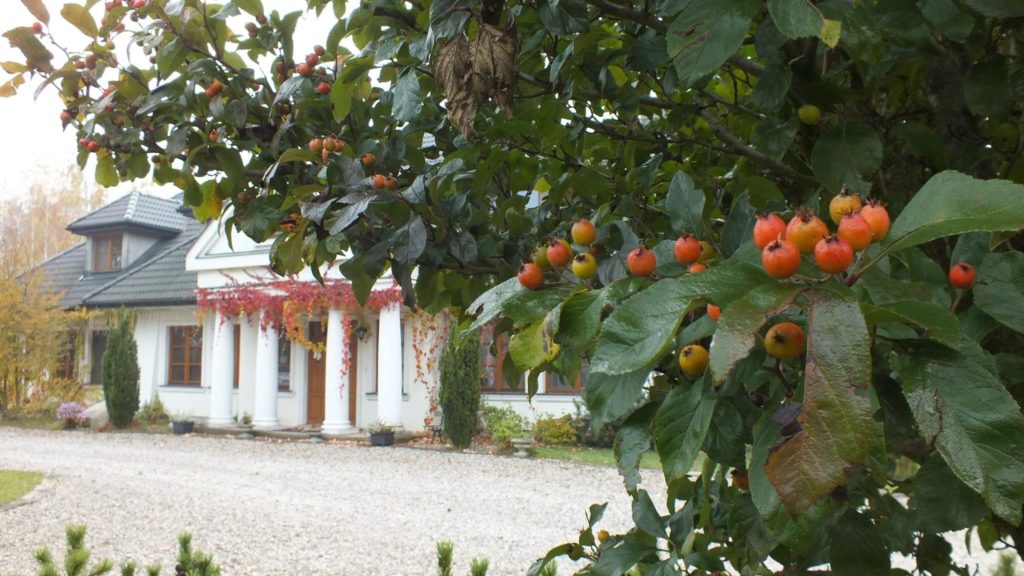 15025344_340257249684455_4407064540685164796_o