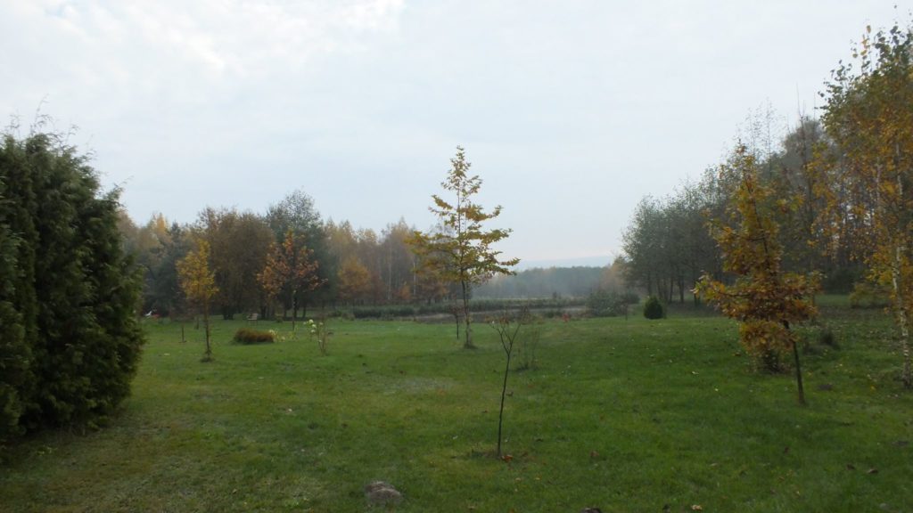 15025522_340257189684461_7331708243831490750_o