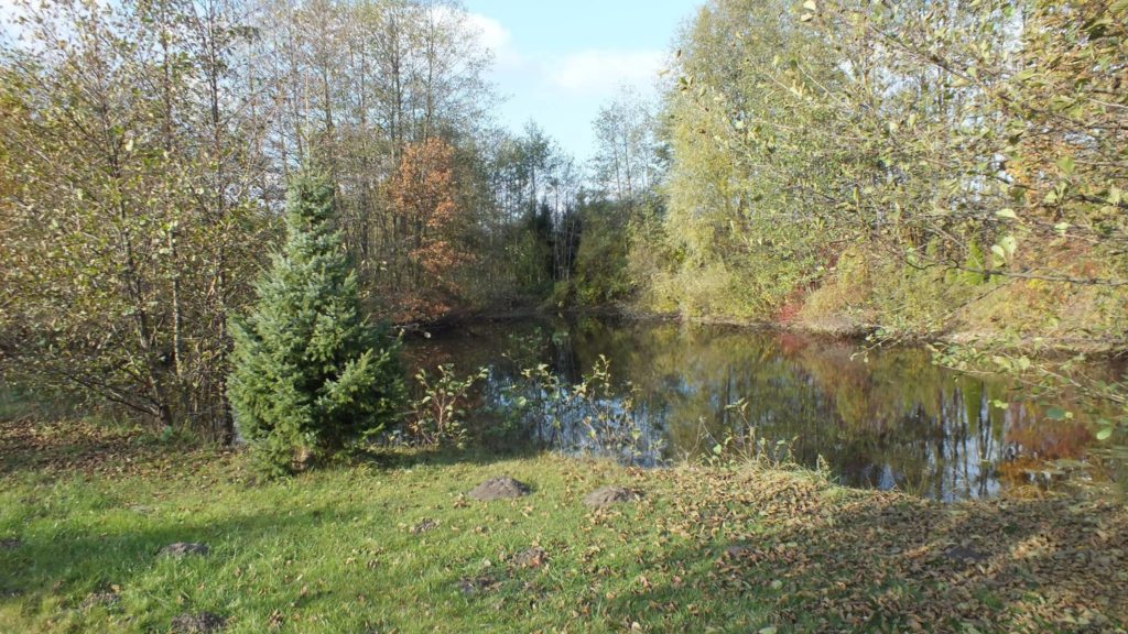 15025623_340257059684474_8312191467304811290_o