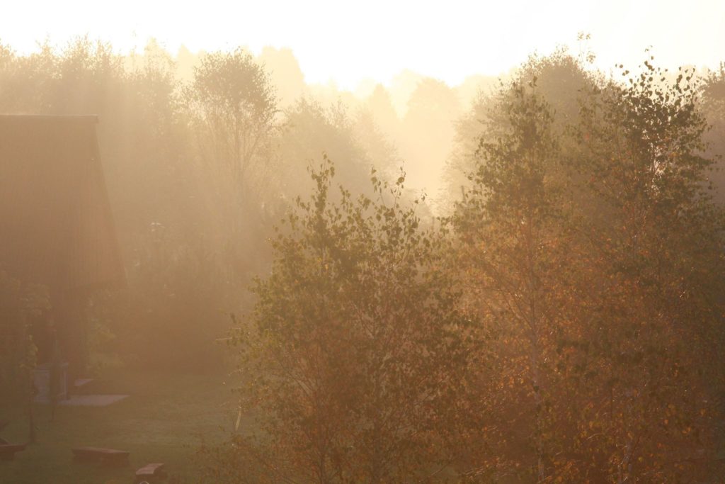 15110987_347500688960111_4874217224931112959_o