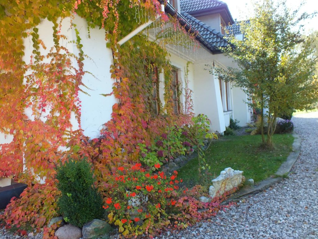 15129408_347501012293412_4934447396712971949_o