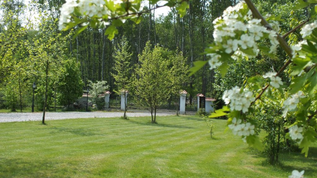 15129409_347500958960084_2611417412469119730_o