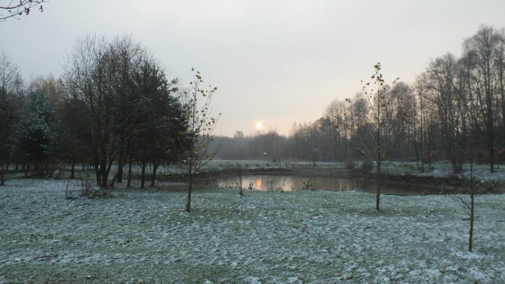 15129546_347500695626777_7315979249726548722_o