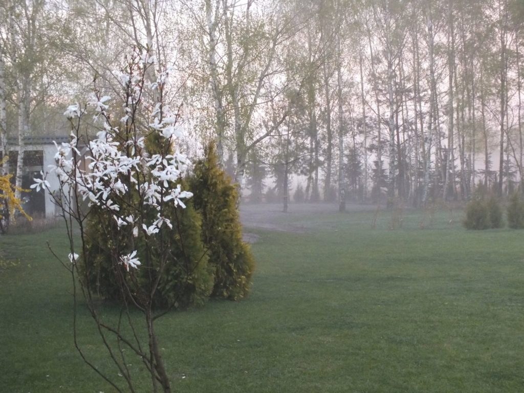 15129600_347500832293430_809643163399226274_o