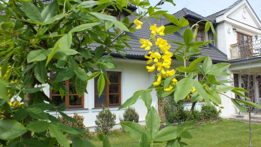 15137636_347500802293433_4342518071065772532_o