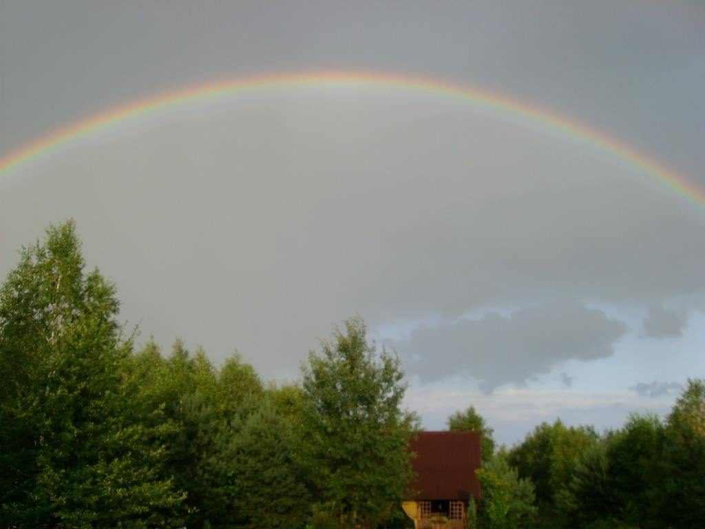 15138430_347500852293428_551380624870743680_o