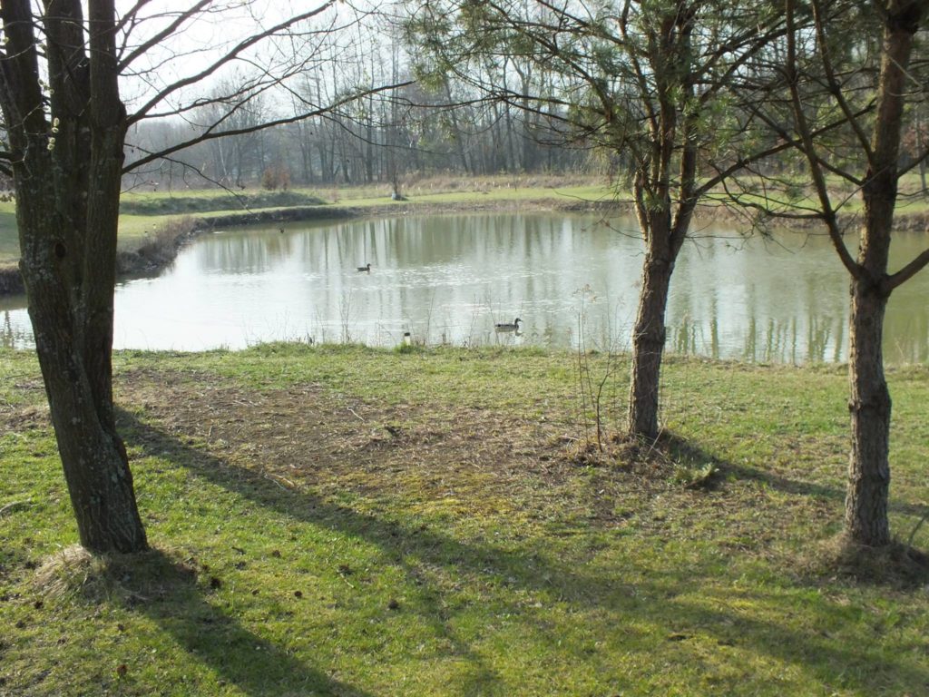 15156905_347500912293422_2212407715651327067_o