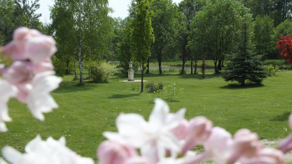 15168694_347500798960100_2529467009794590425_o