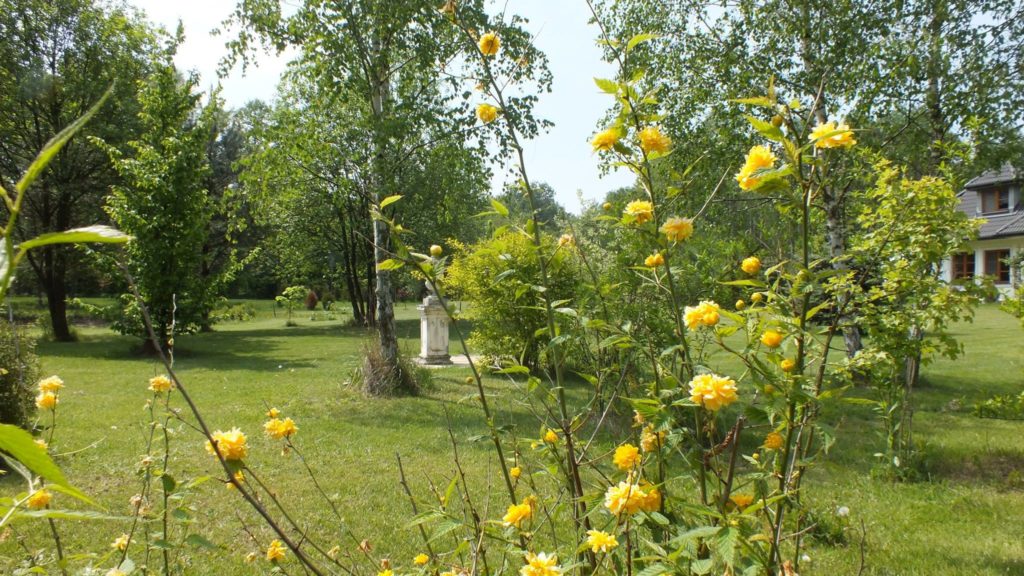 15194555_347500988960081_9111326372114690768_o